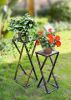 Set of Two Black And Gold Metal Plant Stands